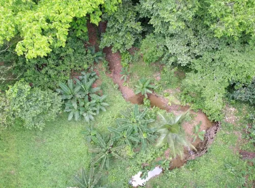 dji_fly_20240522_121816_74_1716402262636_photo